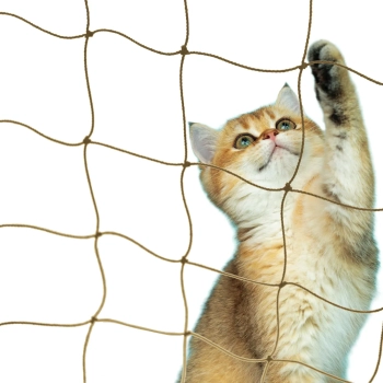 Siatka zabezpieczająca 50x50mm / 5x4m - beżowy